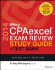 Image for Wiley CPAexcel Exam Review 2014 Study Guide + Test Bank