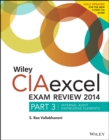 Image for Wiley CIAexcel exam review 2014Part 3,: Internal audit knowledge elements