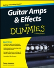 Image for Guitar amps and effects for dummies