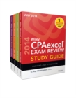 Image for Wiley CPAexcel Exam Review 2014 Study Guide July Set
