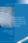 Image for Measuring glass ceiling effects in higher education: opportunities and challenges