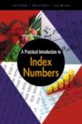 Image for A practical introduction to index numbers