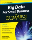 Image for Big data for small business for dummies