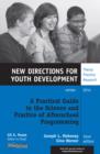 Image for A Practical Guide to the Science and Practice of Afterschool Programming : New Directions for Youth Development, Number 144