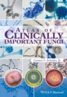 Image for Atlas of clinically important fungi