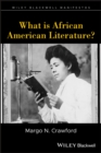 Image for What is African American literature?