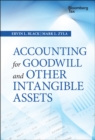 Image for Accounting for Goodwill and Other Intangible Assets