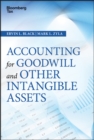 Image for Accounting for goodwill and other intangible assets