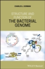 Image for Structure and Function of the Bacterial Genome
