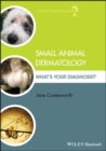 Image for Small Animal Dermatology