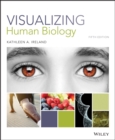 Image for Visualizing Human Biology