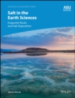 Image for Salt in the Earth Sciences