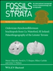 Image for Ordovician rhynchonelliformean brachiopods from Co. Waterford, SE Ireland : Palaeobiogeography of the Leinster Terrane
