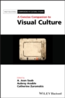 Image for A Concise Companion to Visual Culture