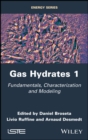 Image for Gas hydrates: from characterization and modeling to applications