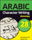 Image for Arabic character writing for dummies.