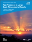 Image for Fast processes in large scale atmospheric models  : progress, challenges, and opportunities
