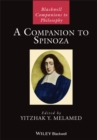 Image for A Companion to Spinoza