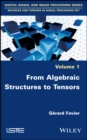 Image for From algebraic structures to tensors