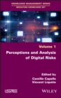 Image for Perceptions and Analysis of Digital Risks