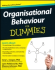Image for Organisational behaviour for dummies