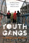 Image for Youth gangs in American society