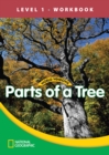 Image for World Windows 1 (Science): Parts Of A Tree Workbook