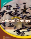 Image for World Windows 3 (Science): Animal Groups