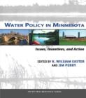 Image for Water policy in Minnesota: issues, incentives, and action