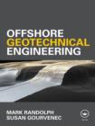 Image for Offshore geotechnical engineering