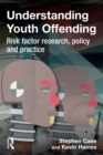 Image for Understanding youth offending: risk factor research, policy and practice