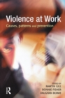Image for Violence at work: causes, patterns and prevention