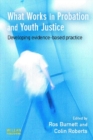 Image for What works in probation and youth justice: developing evidence-based practice