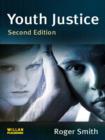 Image for Youth justice: ideas, policy, practice