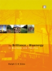 Image for The brilliance of bioenergy: in business and in practice