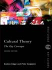Image for Cultural theory: the key concepts