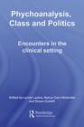 Image for Psychoanalysis, class and politics: encounters in the clinical setting