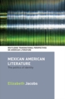 Image for Mexican American Literature: The Politics of Identity