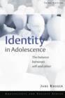 Image for Identity in adolescence: the balance between self and other