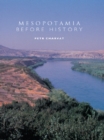 Image for Mesopotamia before history