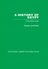 Image for A History of Egypt: In the Middle Ages