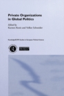 Image for Private organisations in global politics : 15