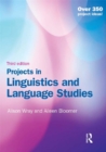 Image for Projects in linguistics and language studies.