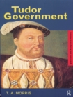 Image for Tudor government