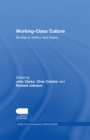 Image for Working-class culture: studies in history and theory