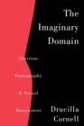 Image for The imaginary domain: abortion, pornography &amp; sexual harassment