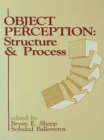 Image for Object Perception: Structure and Process
