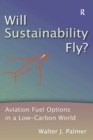 Image for Will sustainability fly?: aviation fuel options in a low-carbon world