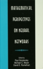 Image for Mathematical perspectives on neural networks