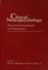 Image for Clinical neuropsychology: theoretical foundations for practitioners